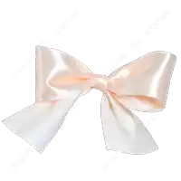 a white satin bow is against a white background