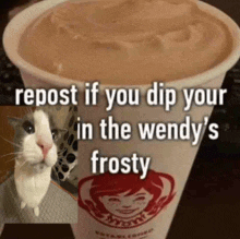 a cat is standing next to a cup of frosty wendy 's