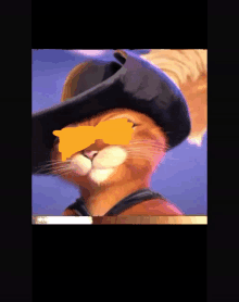 a cat wearing a cowboy hat and sunglasses has a yellow circle around its eyes