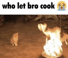 a cat standing next to a fire with the words who let bro cook below it