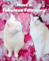 two cats are on a pink background with the words have a fabulous february