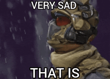 a very sad that is meme with a picture of a soldier