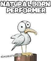 a cartoon of a seagull standing on a wooden post with the words natural born performer below it