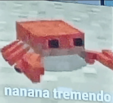 a red crab is sitting on top of a white surface with the words `` nana tremendo '' written on it .