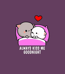 a couple of cats laying in a bed with the words `` always kiss me goodnight ''