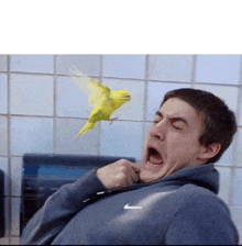 a man wearing a nike hoodie is being attacked by a bird