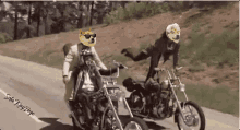 two motorcycle riders with doge faces on their helmets