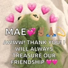 a picture of a kermit frog with the words mae awww ! thank you i will always treasure our friendship