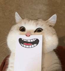 a cat is holding a piece of paper with a drawing of a mouth and teeth on it