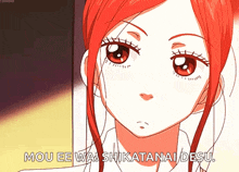 a girl with red hair says mou ee wa shikatanai desu.