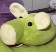 a close up of a green stuffed animal with a white nose and ears .