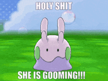 a cartoon of a rabbit with the words holy shit she is grooming written below it