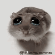 a hamster is crying with tears running down its eyes .