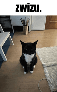 a black and white cat sits on a wooden floor in front of a sign that says zwizu