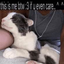 a cat is laying on a person 's lap with the caption " this is me btw : 3 if u even care "