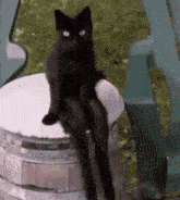 a black cat is sitting on top of a barrel with its legs crossed .