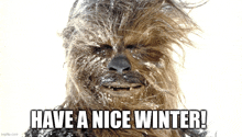 a picture of chewbacca with the words have a nice winter on it