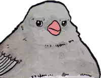 a drawing of a bird with a pink beak and a very angry look on its face