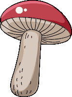 a drawing of a mushroom with a red cap