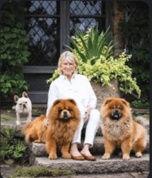 a woman sits on a set of steps with two chow chow dogs