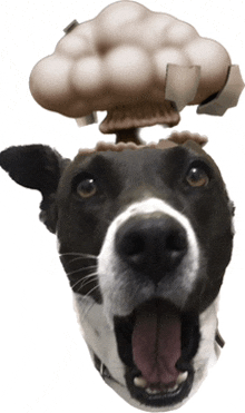 a black and white dog with a mushroom cloud coming out of its head