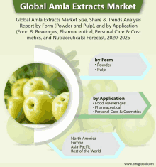 an advertisement for global amla extracts market shows a picture of some fruit