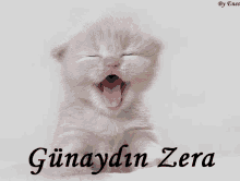 a kitten with its mouth open and the words günaydin zera written below it