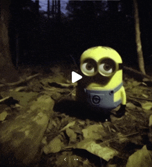 a video of a minion playing a game in the woods