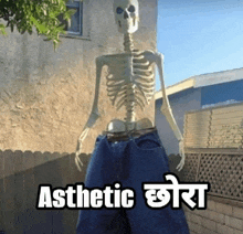 a skeleton is wearing a pair of jeans with the words aesthetic written on it