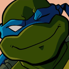 a close up of a teenage mutant ninja turtle with a blue mask