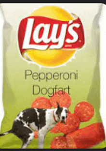 a bag of lays pepperoni dogfart chips with a dog on it .