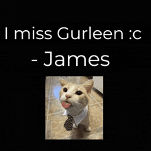 a picture of a cat wearing a tie with the words " i miss gurleen : c james " below it