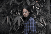 a man in a blue plaid shirt is standing in front of a tree