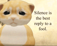 a picture of a cat with the words silence is the best reply to a fool below it