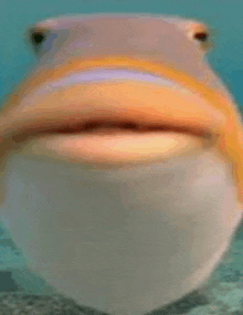 a close up of a fish with its mouth open in the water