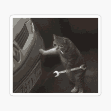 a cat is holding a wrench in front of a car .