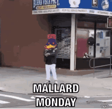 a person wearing a mascot costume is walking down a sidewalk .