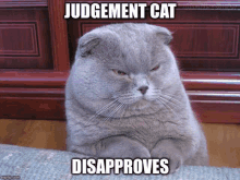 a cat with judgement cat disapprovals written on the bottom