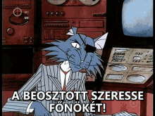 a cartoon cat is sitting at a desk with the words a beosztott szerese fonokat