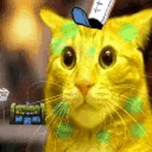a yellow cat with green spots on its face is wearing a hat and looking at the camera .