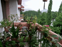 a balcony with lots of potted plants and trees