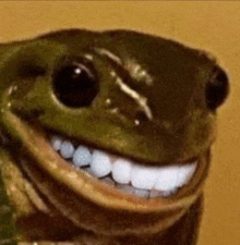 a frog with big white teeth is smiling for the camera .