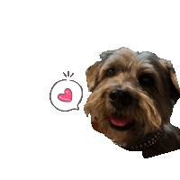 a dog with a pink heart in a speech bubble next to it