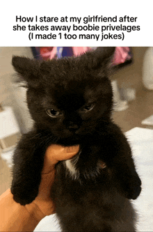 a person is holding a black cat with a caption that says how i stare at my girlfriend after she takes away