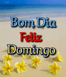 a picture of flowers on a beach with the words bom dia feliz domingo written on it .