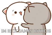 a cartoon of two cats hugging each other with the words im rick james bithach