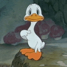 a cartoon duck is standing on a rock