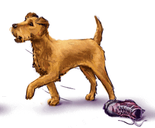 a drawing of a dog standing next to a shoe