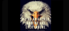 a bald eagle with the words we 've awakened and we are everywhere written below it