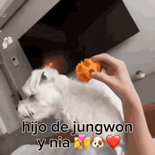 a picture of a person playing with a dog with the words hijo de jungwon y nia on it